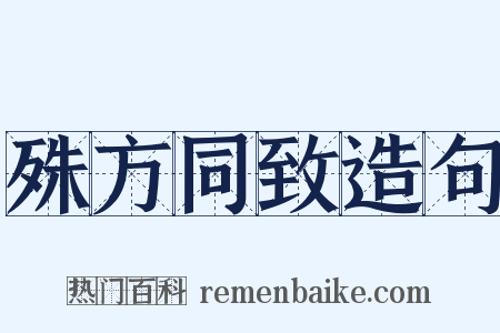 殊方同致造句是什么意思的图片